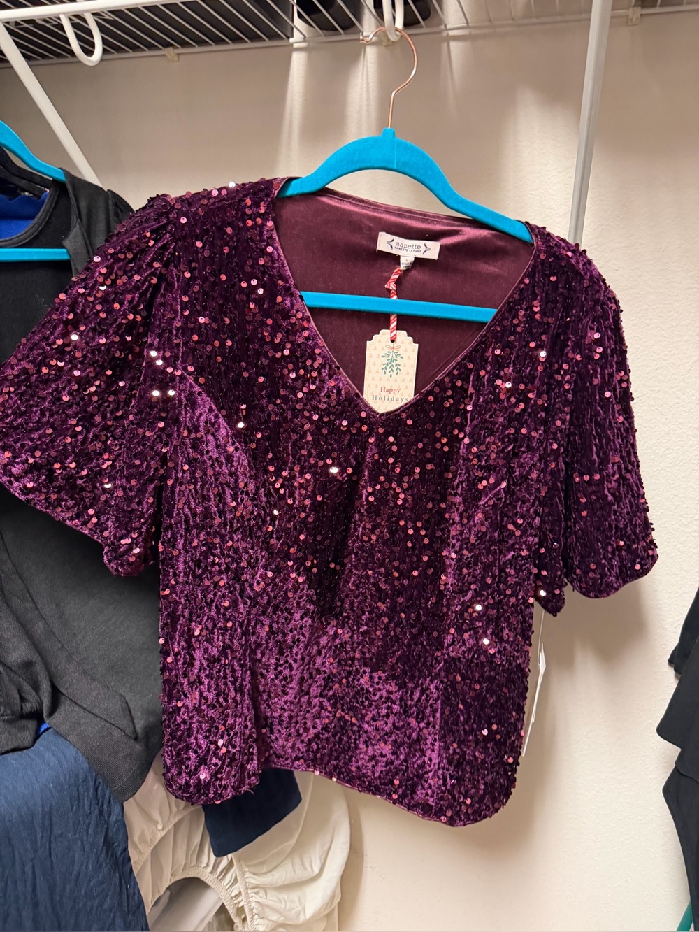 Velvet Sequin V-Neck Top in Deep Plum
